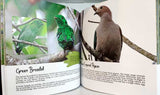 COLOURFUL FEATHERS: SELECTED BIRDS OF BRUNEI AND BORNEO
