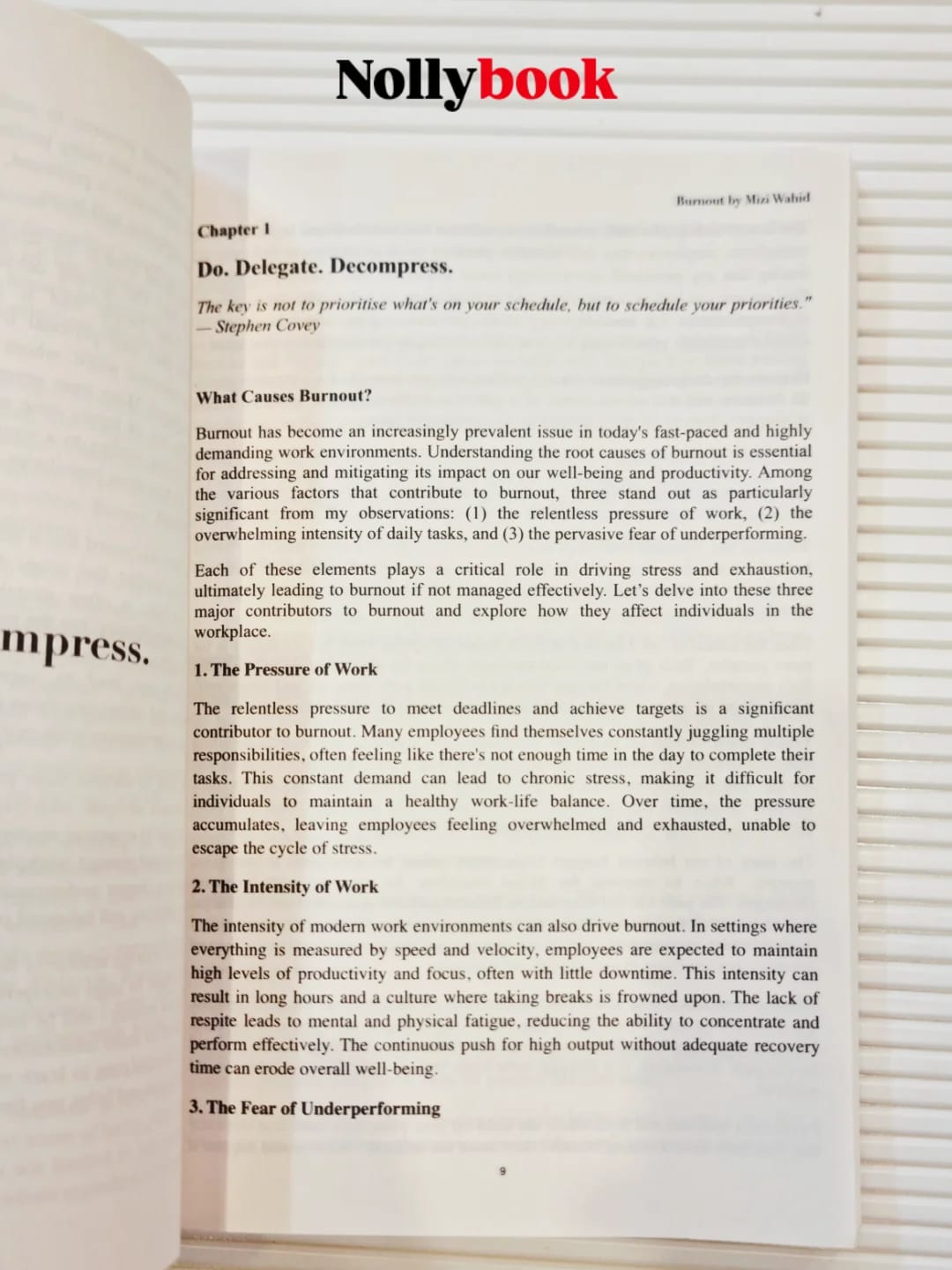 Burn Out: How to Rest Your Mind & Reignite Your Passion at Work by Mizi Wahid