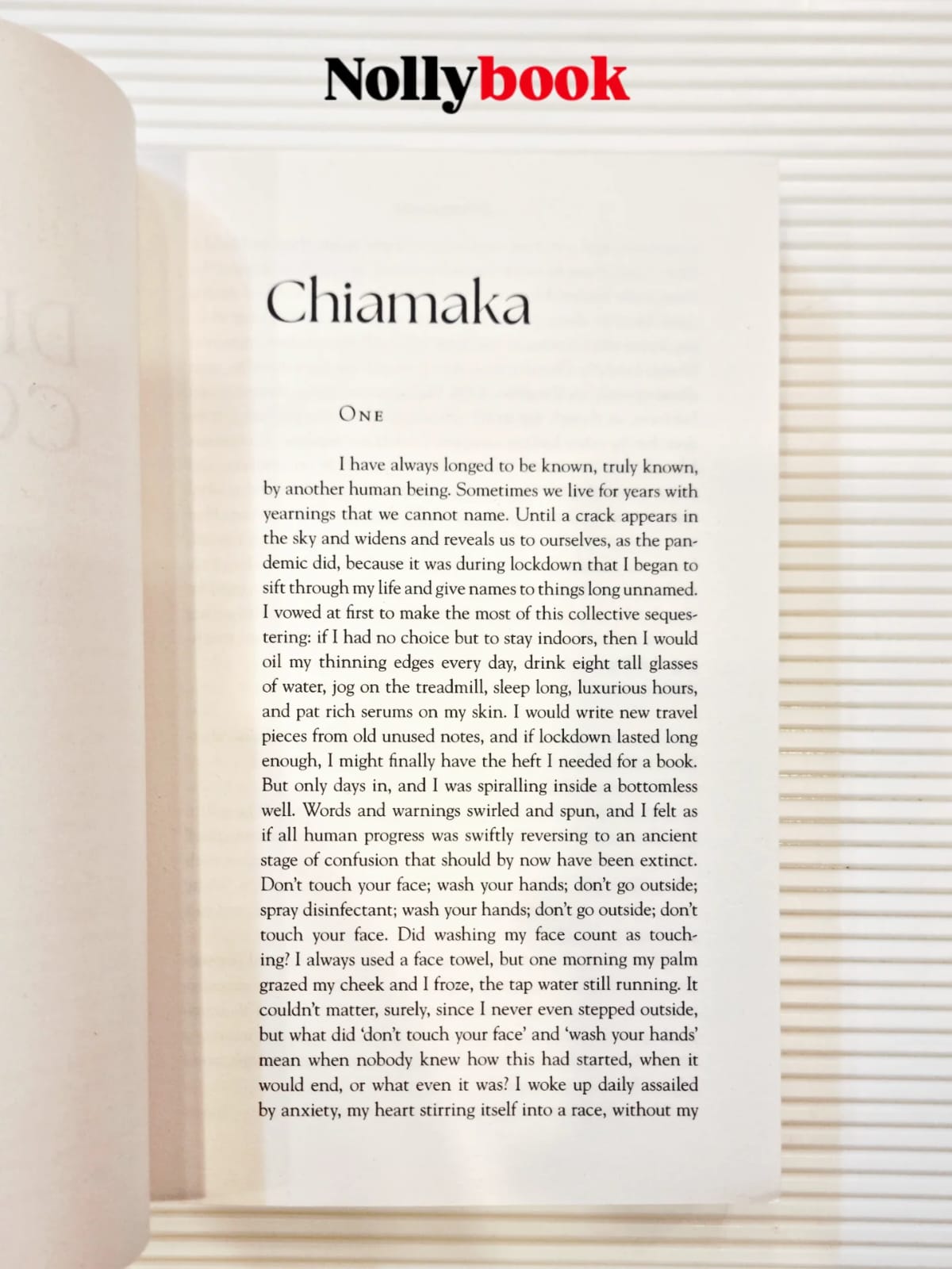 Dream Count by Chimamanda Ngozi Adichie