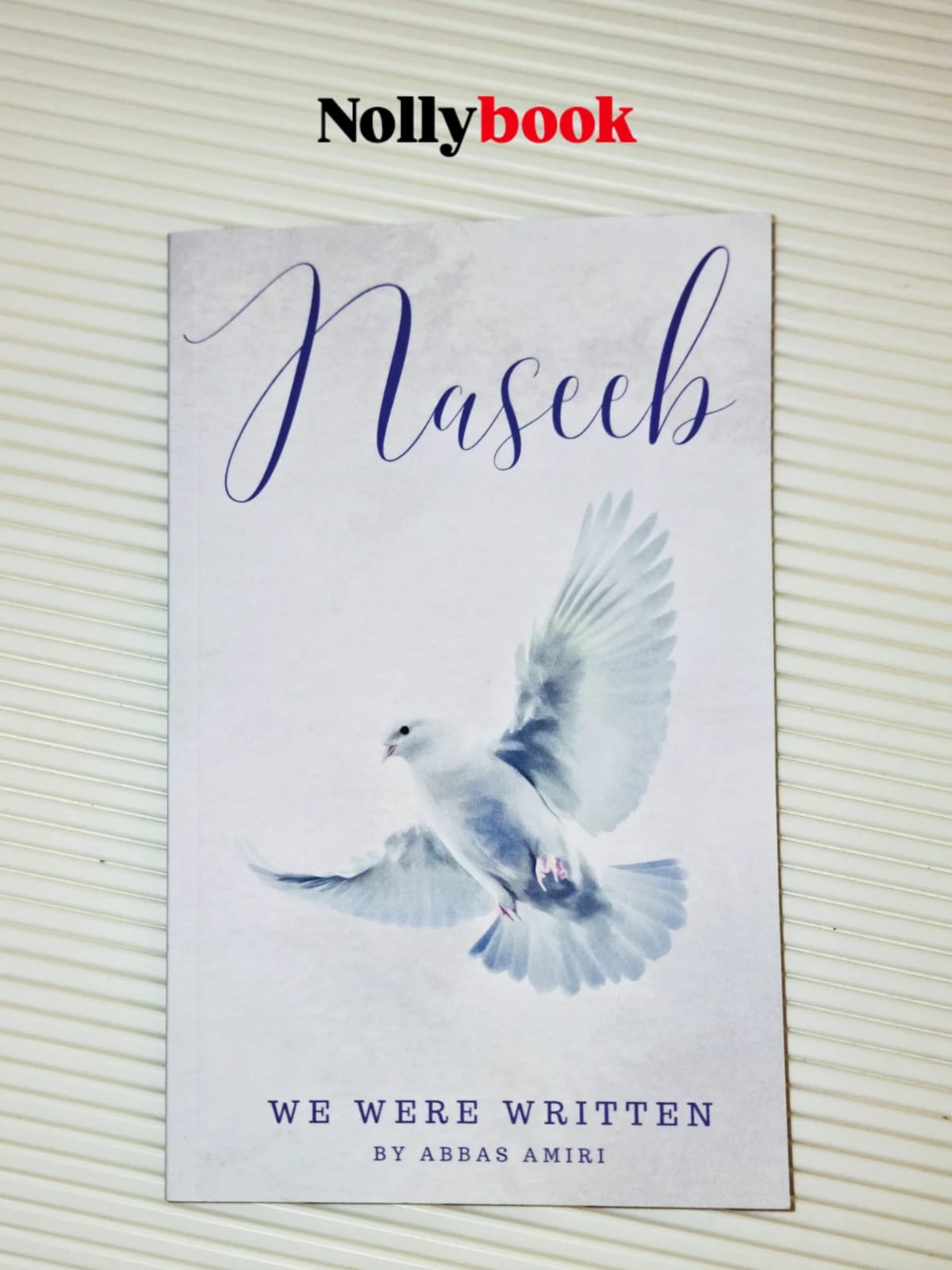 Naseeb: We Were Written by Abbas Amiri