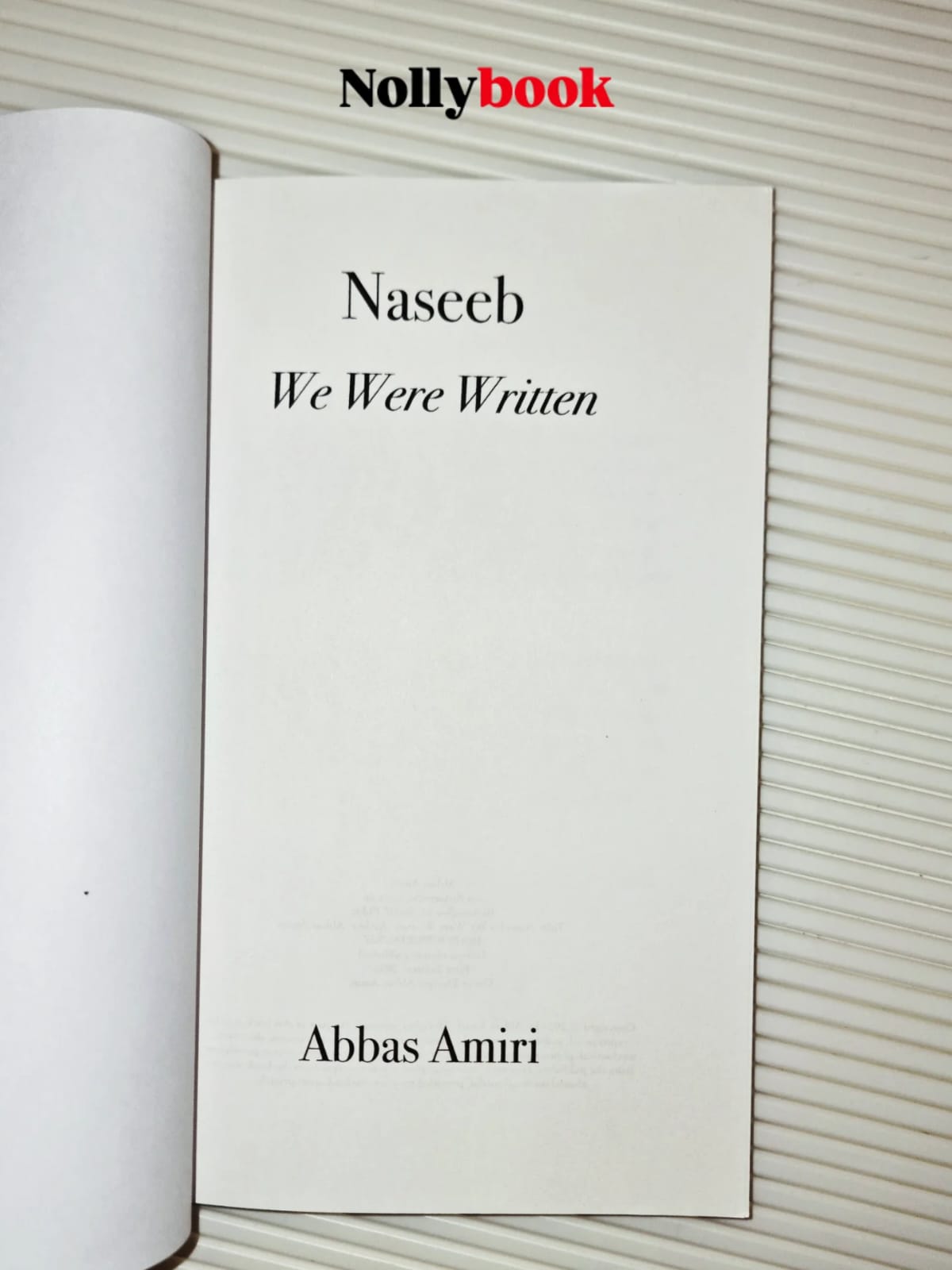 Naseeb: We Were Written by Abbas Amiri