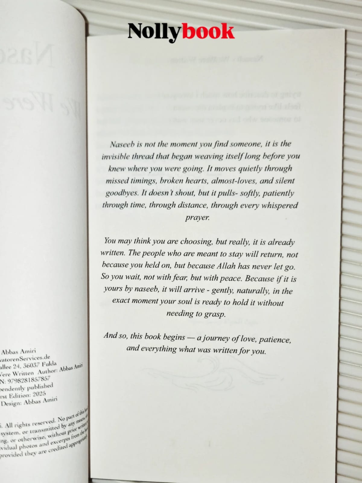 Naseeb: We Were Written by Abbas Amiri