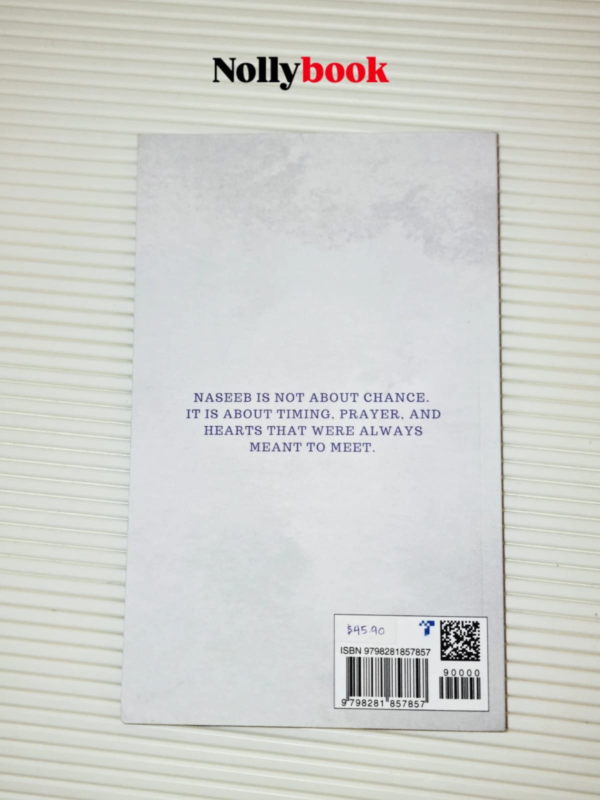 Naseeb: We Were Written by Abbas Amiri