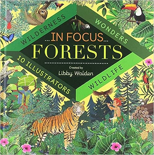 Forests: Wilderness, Wonders, Wildlife (in Focus)