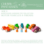 MONTESSORI WOODEN TOY COLLECTION