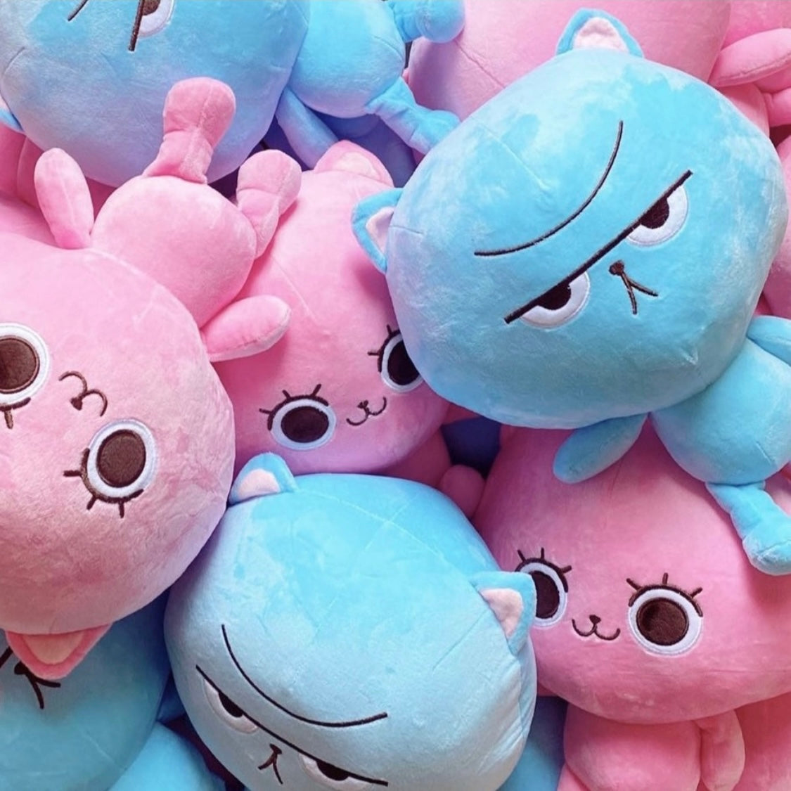 PLUSH TOY Kranky Kitty & Kat Pink