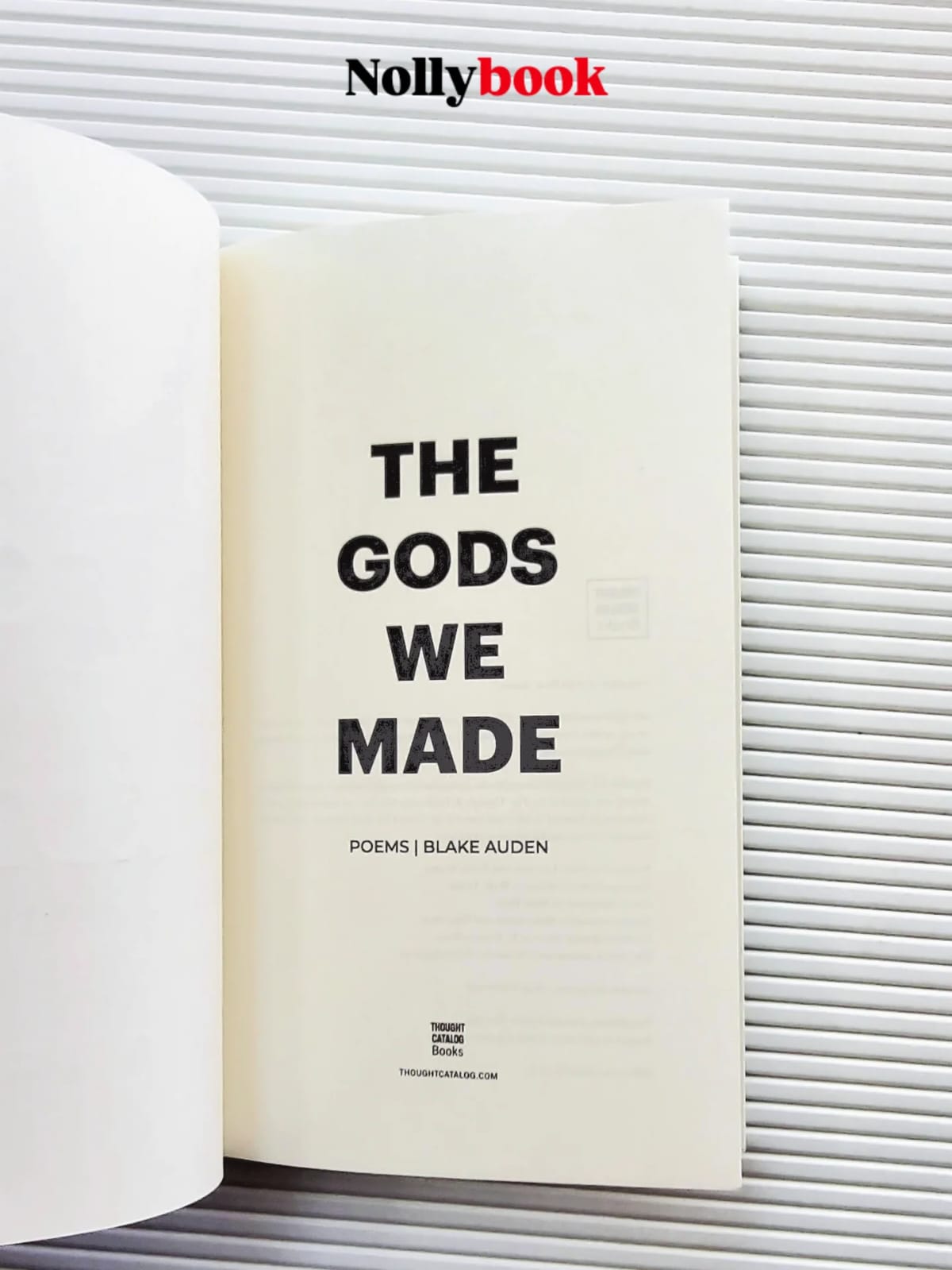 The Gods We Made By Blake Auden