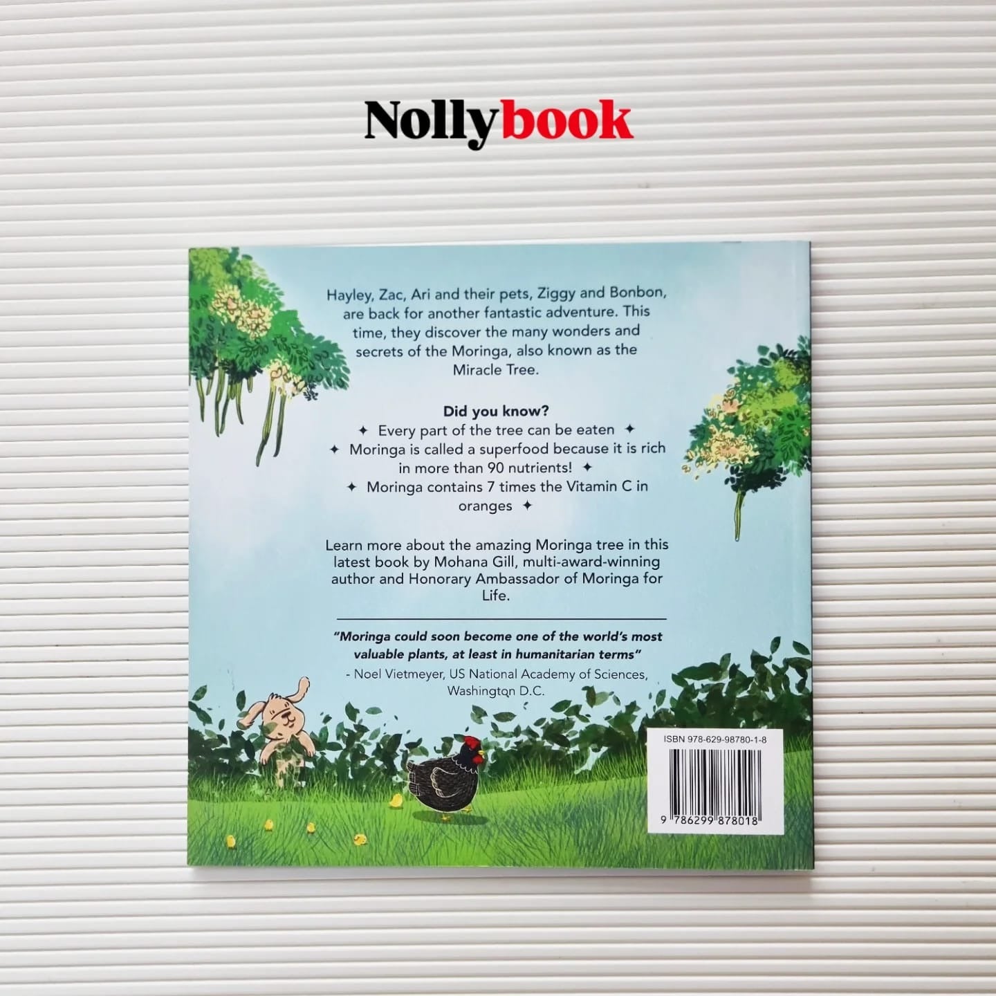 Hayley's Moringalicious Malaysia: Discover Nature's Miracle Tree!