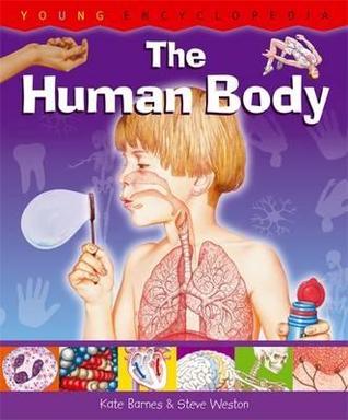 The Human Body Encyclopedia by Kate Barnes