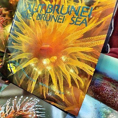 Laut Brunei: The Brunei Sea By Maurice Davidson