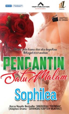 Pengantin Satu Malam (Novel Diadaptasi ke Drama)