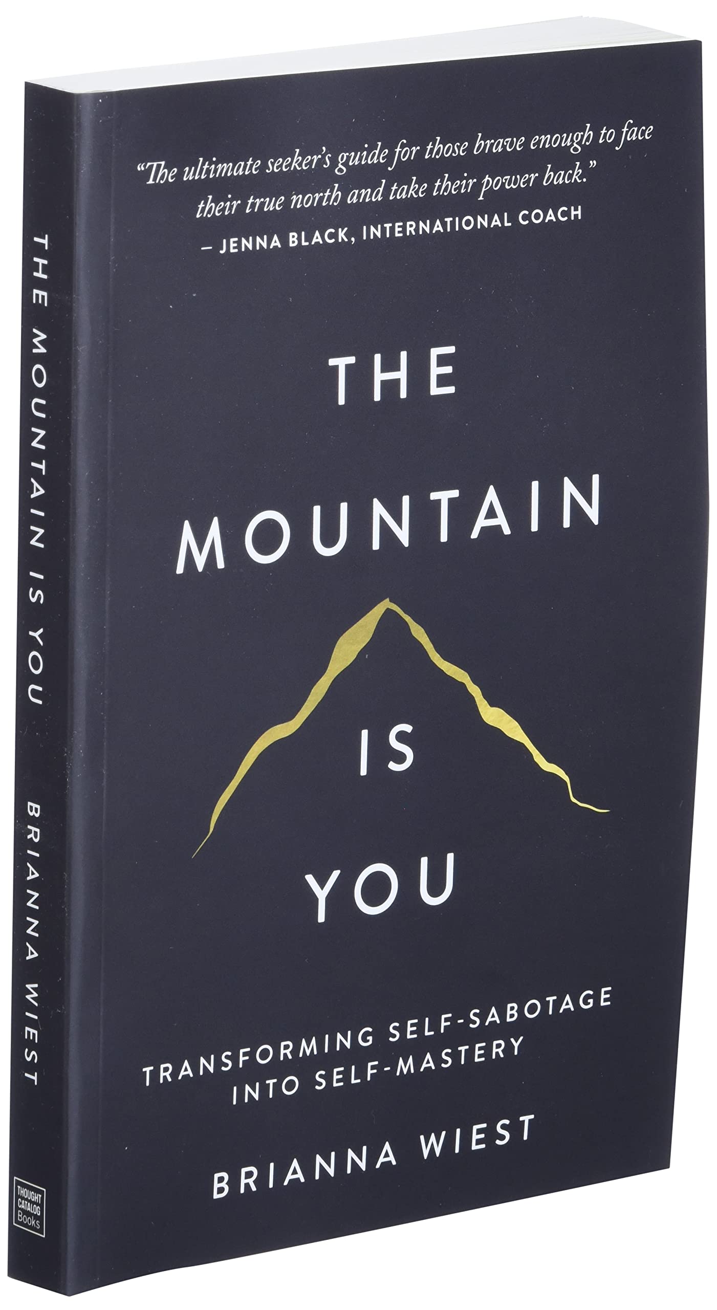 The Mountain Is You: Transforming Self-Sabotage Into Self-Mastery