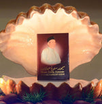 Memoir Seorang Sejarawan: Dr. Haji Awang Mohd. Jamil Al-Sufri