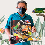 COLOURFUL FEATHERS: SELECTED BIRDS OF BRUNEI AND BORNEO
