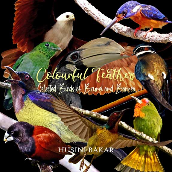 COLOURFUL FEATHERS: SELECTED BIRDS OF BRUNEI AND BORNEO