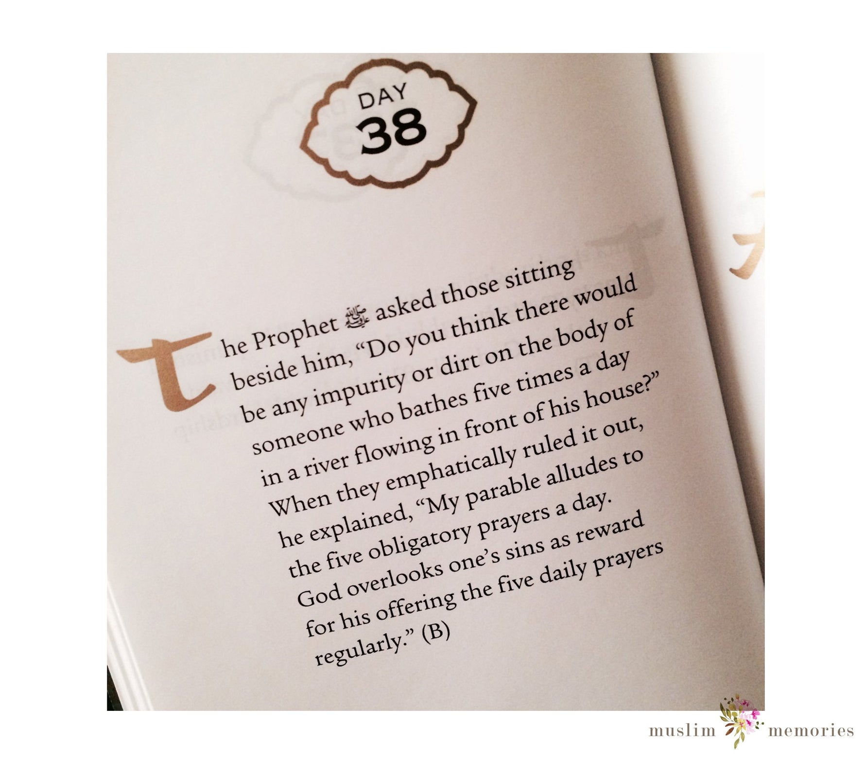 Daily Wisdom: Sayings of the Prophet Muhammad (Hardcover)